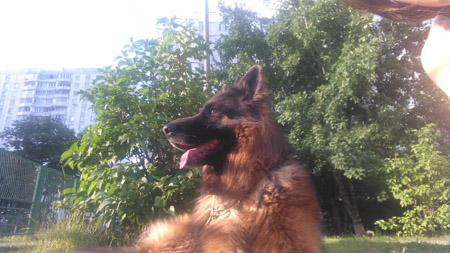 450x253  52 KB. Big one: 2560x1440  750 KB