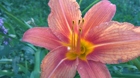 450x253  56 KB. Big one: 3920x2204  980 KB