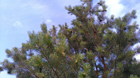 450x253  57 KB. Big one: 3920x2204  2633 KB