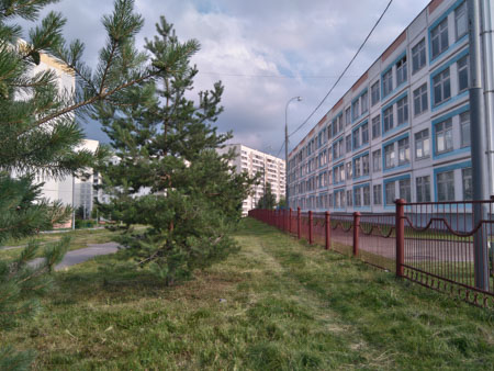 450x338  56 KB. Big one: 4128x3096  3286 KB