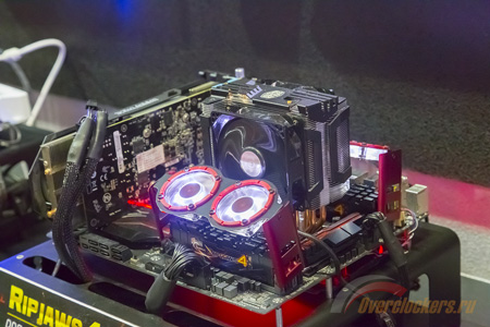 450x300  62 KB. Big one: 1500x1000  527 KB