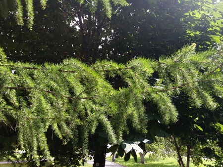 450x338  256 KB. Big one: 4160x3120  7918 KB