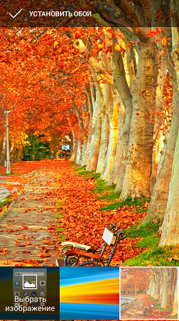 252x450  316 KB. Big one: 480x854  1044 KB