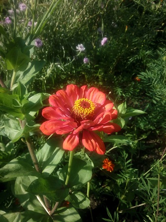 337x450  139 KB. Big one: 3072x4096  2314 KB