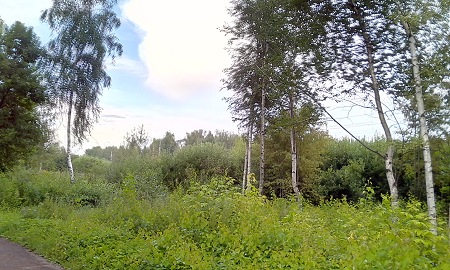 450x270  74 KB. Big one: 2880x1728  1435 KB