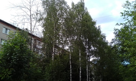 450x270  67 KB. Big one: 2880x1728  1340 KB