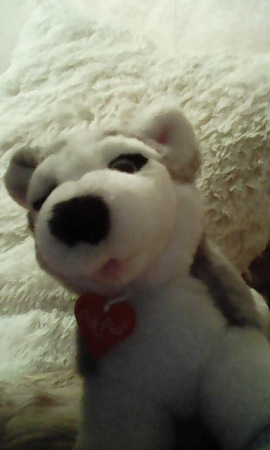 270x450  28 KB. Big one: 384x640  52 KB