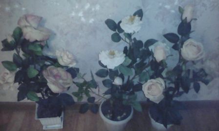 448x269  25 KB. Big one: 1280x768  128 KB