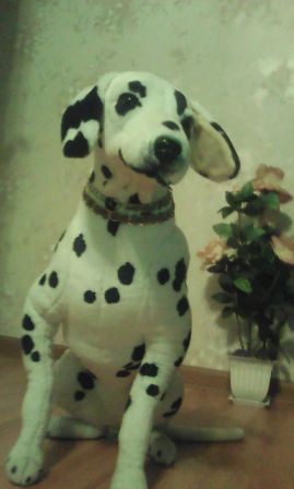 269x448  25 KB. Big one: 768x1280  135 KB