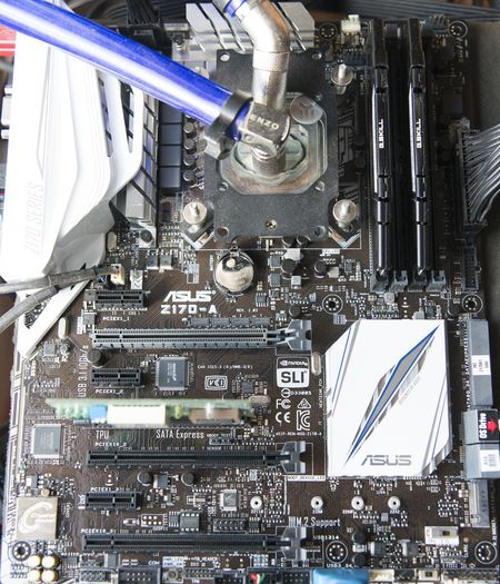 450x525  82 KB. Big one: 2144x2500  1569 KB