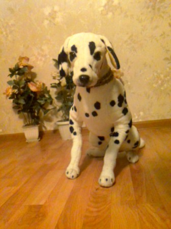 336x448  60 KB. Big one: 1200x1600  259 KB