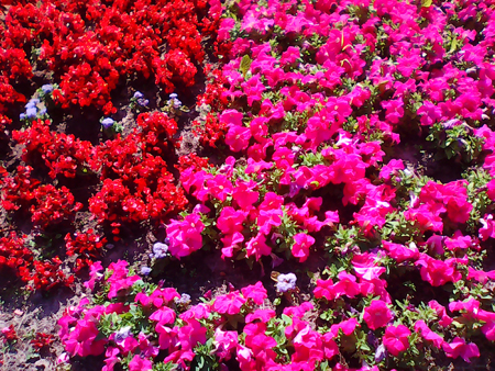 450x338  338 KB. Big one: 2048x1536  1990 KB