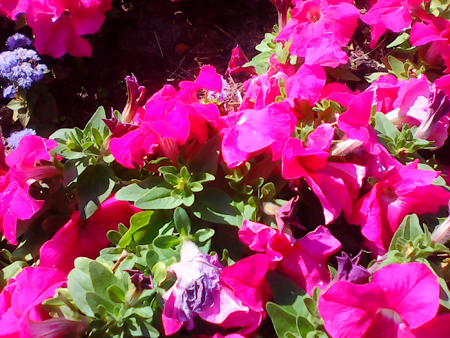 450x338  264 KB. Big one: 2048x1536  1323 KB