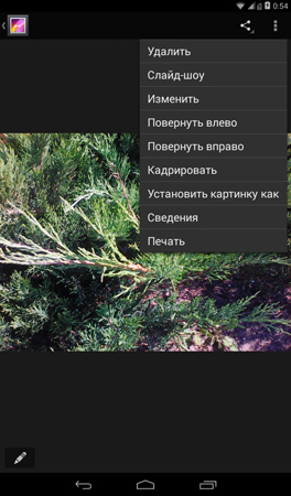 264x450  122 KB. Big one: 600x1024  531 KB