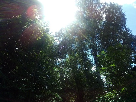 450x337  71 KB. Big one: 4160x3120  4582 KB