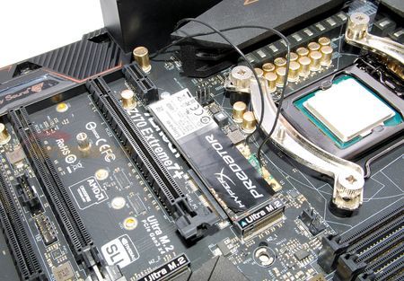 450x313  57 KB. Big one: 1500x1042  403 KB