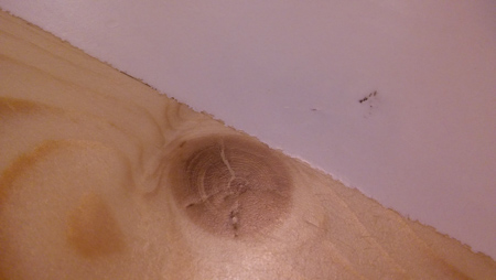 450x254  44 KB. Big one: 3264x1840  655 KB