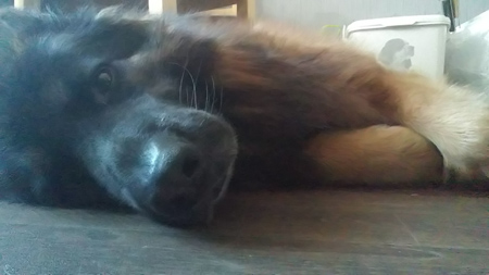 450x253  50 KB. Big one: 2560x1440  382 KB