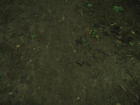 448x336  39 KB. Big one: 4160x3120  2597 KB