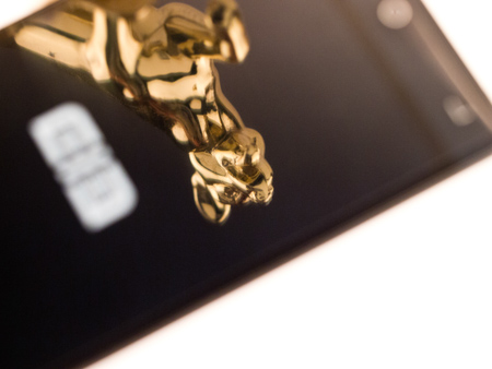 450x338  53 KB. Big one: 1500x1125  362 KB