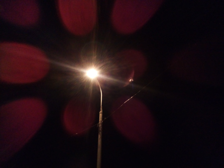 450x338  46 KB. Big one: 4160x3120  1286 KB