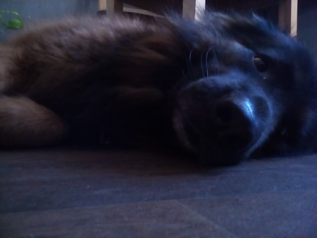 450x338  51 KB. Big one: 1600x1200  202 KB