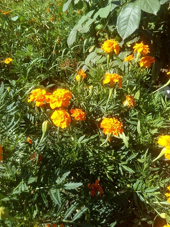 337x450  180 KB. Big one: 3120x4160  4471 KB