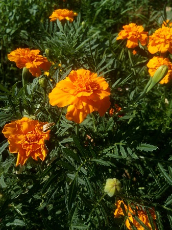 337x450  152 KB. Big one: 3120x4160  2989 KB