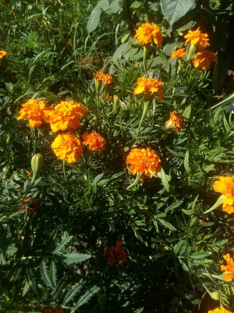 337x450  169 KB. Big one: 3120x4160  3796 KB