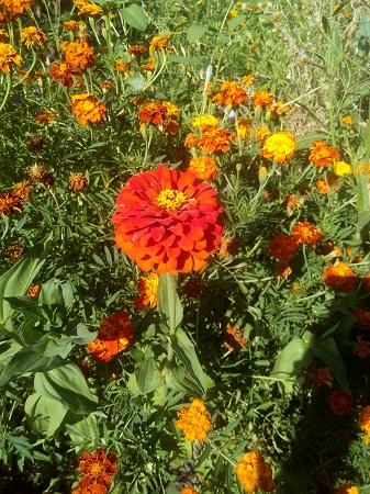 337x450  175 KB. Big one: 3120x4160  3747 KB