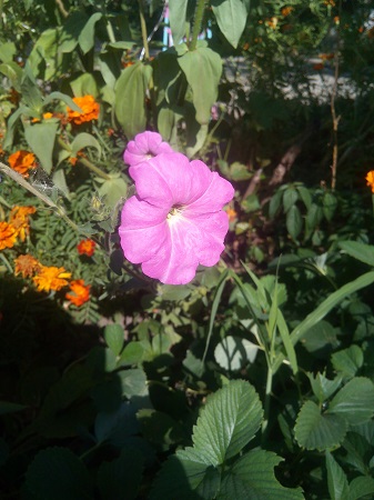 337x450  124 KB. Big one: 3120x4160  2451 KB