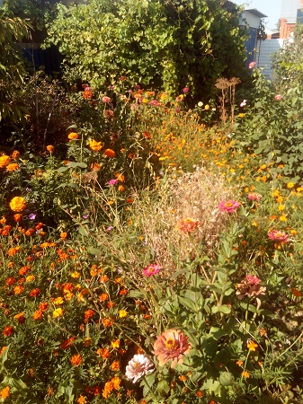 337x450  185 KB. Big one: 3120x4160  4361 KB