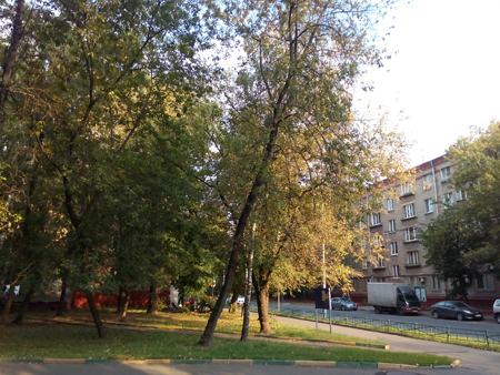 450x338  213 KB. Big one: 3264x2448  4041 KB