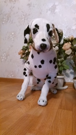 252x448  47 KB. Big one: 1512x2688  1377 KB