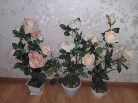 448x336  62 KB. Big one: 4160x3120  3355 KB