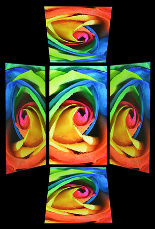 305x450  74 KB. Big one: 1016x1500  259 KB