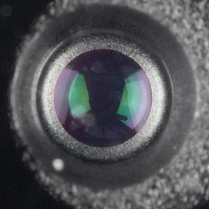 300x300  21 KB. Big one: 497x497  105 KB