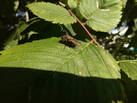 450x338  51 KB. Big one: 4160x3120  2169 KB