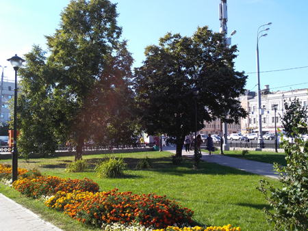 450x338  230 KB. Big one: 4000x3000  5867 KB