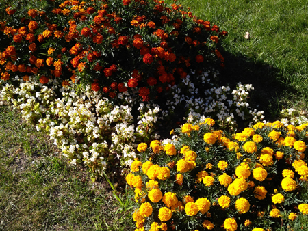 450x338  303 KB. Big one: 4000x3000  6613 KB