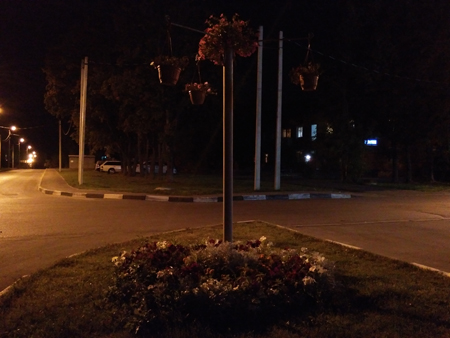 450x338  123 KB. Big one: 4000x3000  2731 KB