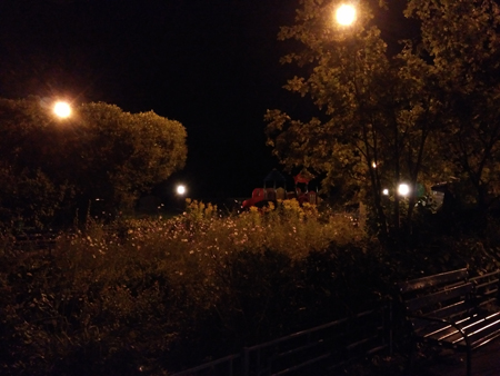 450x338  131 KB. Big one: 4000x3000  2710 KB