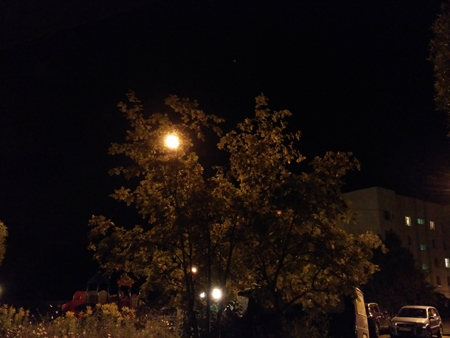 450x338  118 KB. Big one: 4000x3000  2535 KB