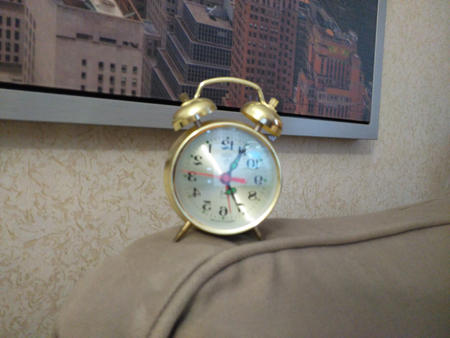 450x338  145 KB. Big one: 3264x2448  2286 KB