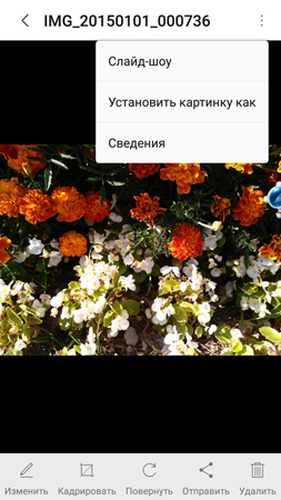 253x450  126 KB. Big one: 844x1500  1066 KB