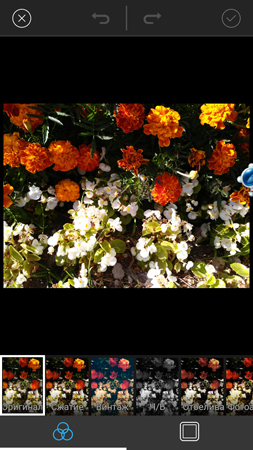 253x450  152 KB. Big one: 844x1500  1282 KB