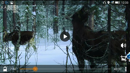 450x253  226 KB. Big one: 1500x844  1817 KB