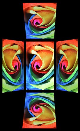 275x450  76 KB. Big one: 916x1500  258 KB