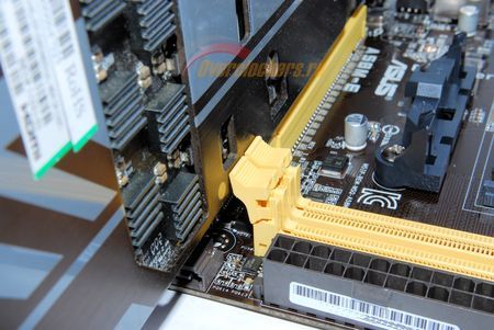 450x301  42 KB. Big one: 1500x1004  235 KB