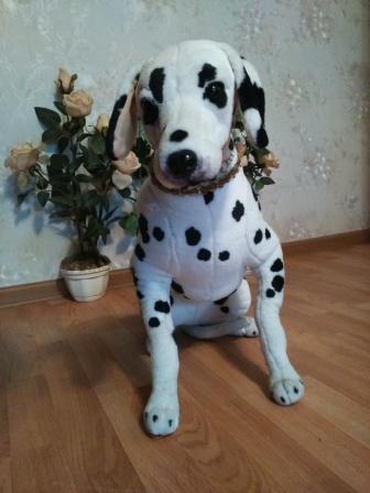 336x448  28 KB. Big one: 2448x3264  2017 KB